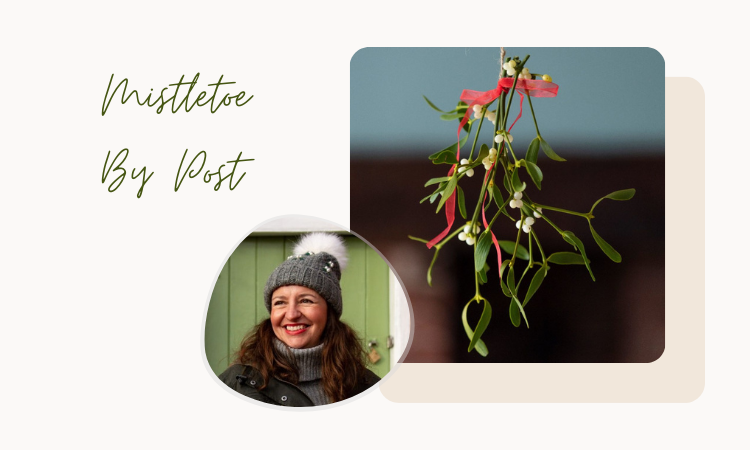 Mistletoe by Post