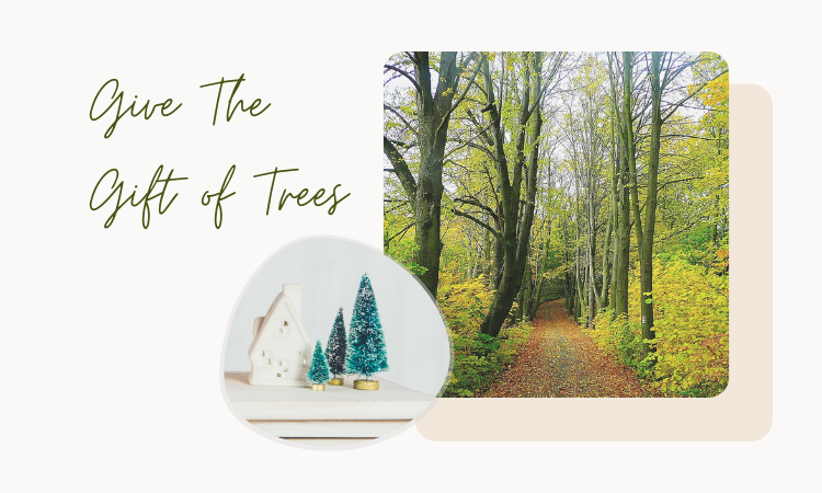 Give the gift of trees