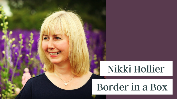 Nikki Hollier - Border in a Box