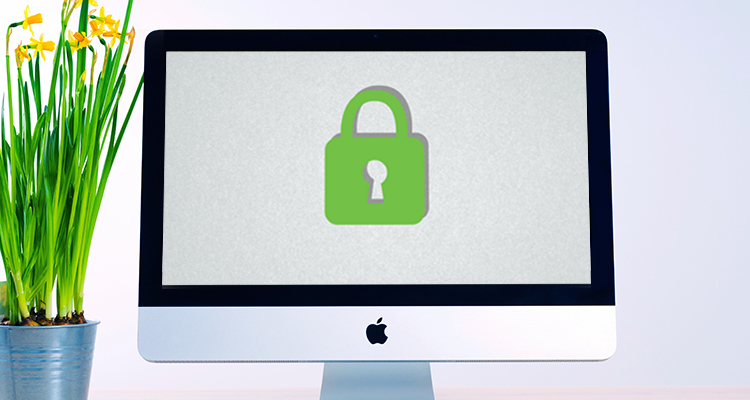 Green 'Secure' Padlock on a computer screen