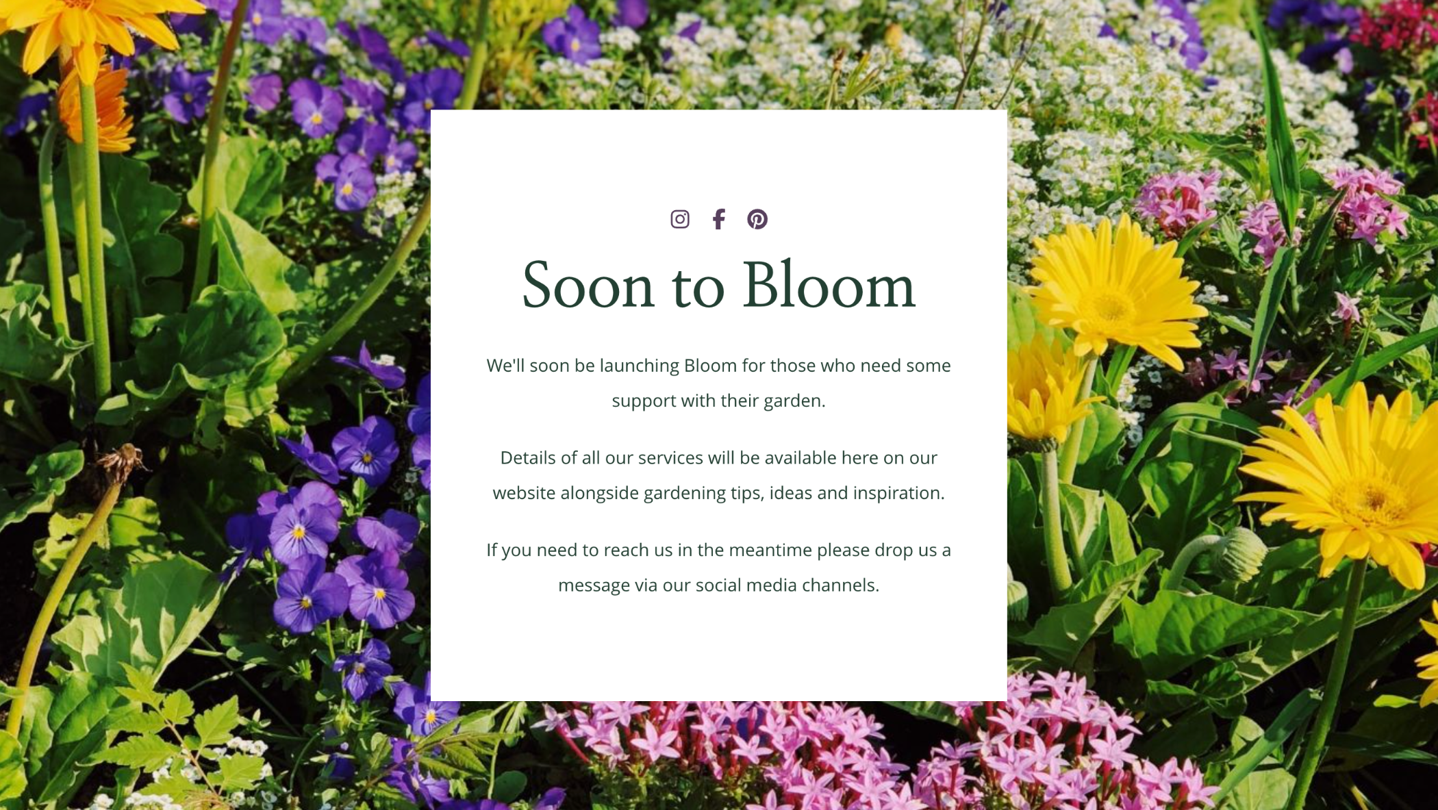 Bloom's Coming Soon Page with Email Signup and garden background