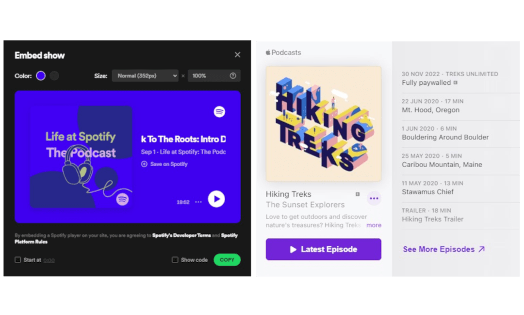 On Your Terms Podcast on Spotify