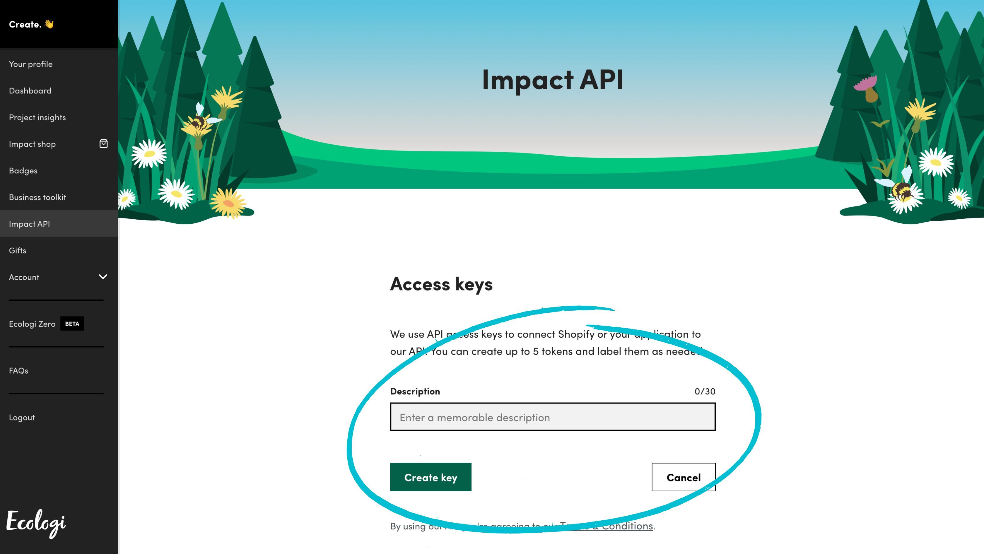 Creating an Ecologi Impact API key